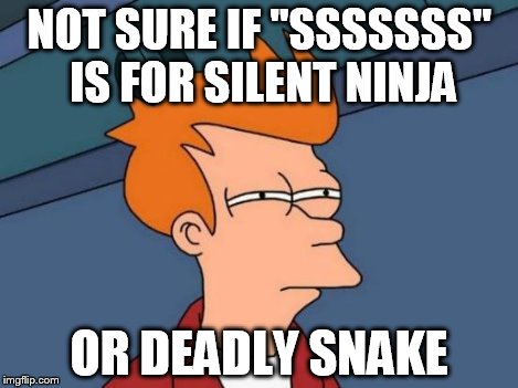 Futurama Fry Meme | NOT SURE IF "SSSSSSS" IS FOR SILENT NINJA OR DEADLY SNAKE | image tagged in memes,futurama fry | made w/ Imgflip meme maker
