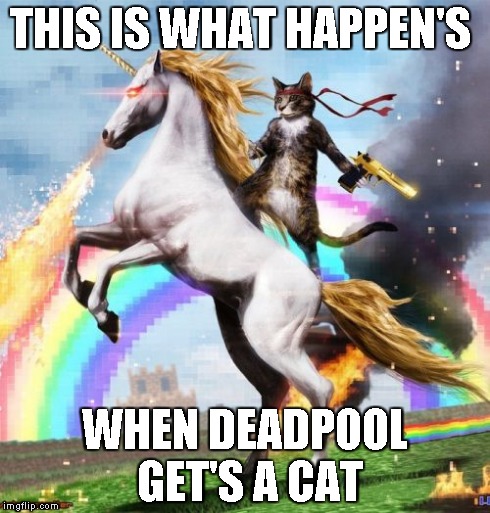 Welcome To The Internets | THIS IS WHAT HAPPEN'S WHEN DEADPOOL GET'S A CAT | image tagged in memes,welcome to the internets | made w/ Imgflip meme maker