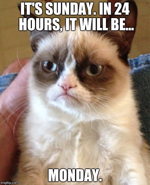 Grumpy Cat | IT'S SUNDAY. IN 24 HOURS, IT WILL BE... MONDAY. | image tagged in memes,grumpy cat | made w/ Imgflip meme maker