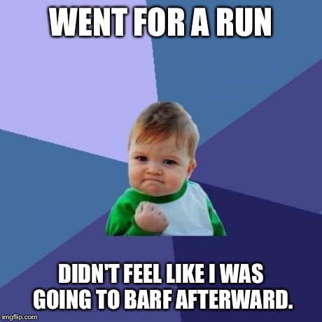 Success Kid Meme | WENT FOR A RUN DIDN'T FEEL LIKE I WAS GOING TO BARF AFTERWARD. | image tagged in memes,success kid,BabyBumps | made w/ Imgflip meme maker