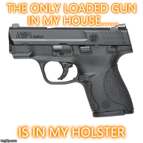 Guns  | THE ONLY LOADED GUN IN MY HOUSE....... IS IN MY HOLSTER | image tagged in guns | made w/ Imgflip meme maker
