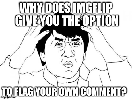 Jackie Chan WTF | WHY DOES IMGFLIP GIVE YOU THE OPTION TO FLAG YOUR OWN COMMENT? | image tagged in memes,jackie chan wtf | made w/ Imgflip meme maker