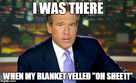 Brian Williams Was There Meme | I WAS THERE WHEN MY BLANKET YELLED "OH SHEET!" | image tagged in memes,brian williams was there | made w/ Imgflip meme maker