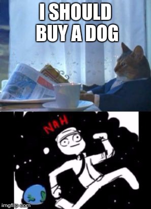 Boat cat... nah | I SHOULD BUY A DOG | image tagged in boat cat nah,first | made w/ Imgflip meme maker