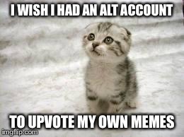 I wish... | I WISH I HAD AN ALT ACCOUNT TO UPVOTE MY OWN MEMES | image tagged in sad cat | made w/ Imgflip meme maker