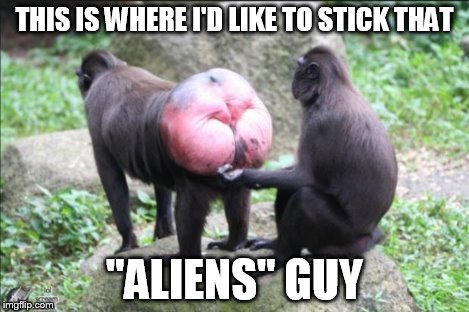 Baboon bottom | THIS IS WHERE I'D LIKE TO STICK THAT "ALIENS" GUY | image tagged in baboon bottom | made w/ Imgflip meme maker