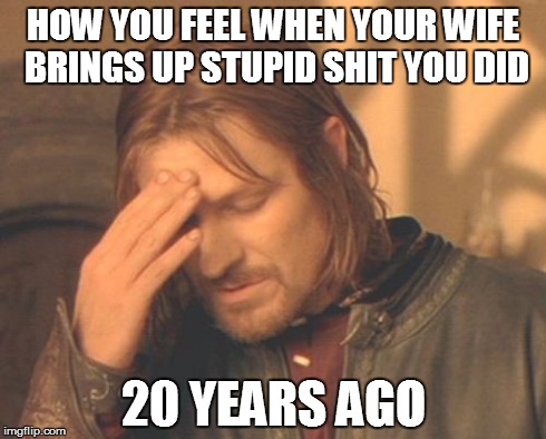 Frustrated Boromir Meme | HOW YOU FEEL WHEN YOUR WIFE BRINGS UP STUPID SHIT YOU DID 20 YEARS AGO | image tagged in memes,frustrated boromir | made w/ Imgflip meme maker