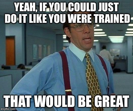 That Would Be Great Meme | YEAH, IF YOU COULD JUST DO IT LIKE YOU WERE TRAINED THAT WOULD BE GREAT | image tagged in memes,that would be great | made w/ Imgflip meme maker