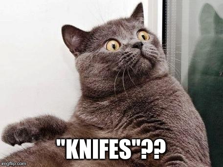 surprised cat | "KNIFES"?? | image tagged in surprised cat | made w/ Imgflip meme maker