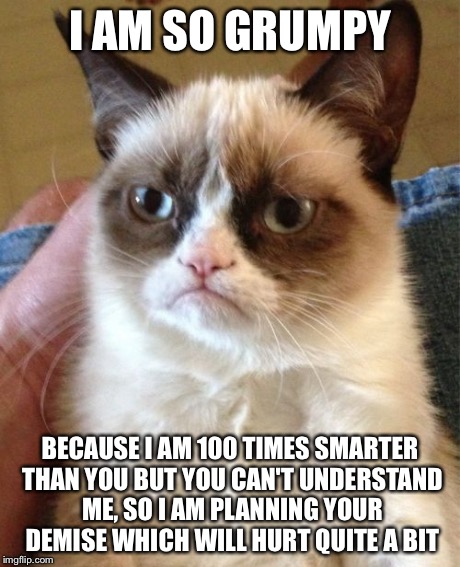 Grumpy Cat Meme | I AM SO GRUMPY BECAUSE I AM 100 TIMES SMARTER THAN YOU BUT YOU CAN'T UNDERSTAND ME, SO I AM PLANNING YOUR DEMISE WHICH WILL HURT QUITE A BIT | image tagged in memes,grumpy cat | made w/ Imgflip meme maker