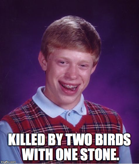 Two birds with... | KILLED BY TWO BIRDS WITH ONE STONE. | image tagged in memes,bad luck brian | made w/ Imgflip meme maker