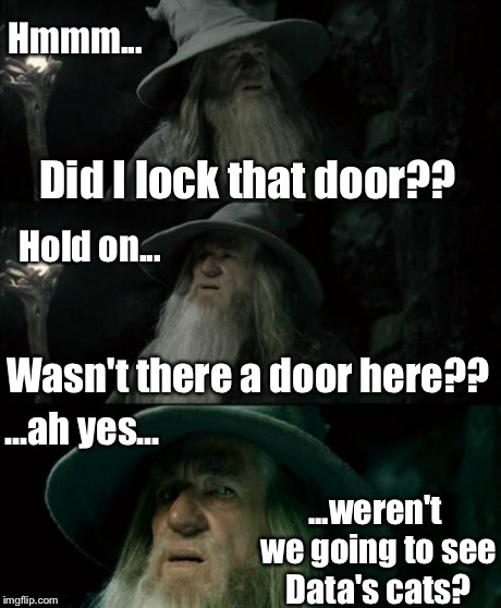 Confused Gandalf Meme | Did I lock that door?? Wasn't there a door here?? ...weren't we going to see Data's cats? Hold on... ...ah yes... Hmmm... | image tagged in memes,confused gandalf | made w/ Imgflip meme maker