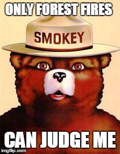 Smokey The Bear | ONLY FOREST FIRES CAN JUDGE ME | image tagged in smokey the bear,memes | made w/ Imgflip meme maker