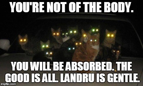 Cats of Landru | YOU'RE NOT OF THE BODY. YOU WILL BE ABSORBED. THE GOOD IS ALL. LANDRU IS GENTLE. | image tagged in cats,star trek | made w/ Imgflip meme maker