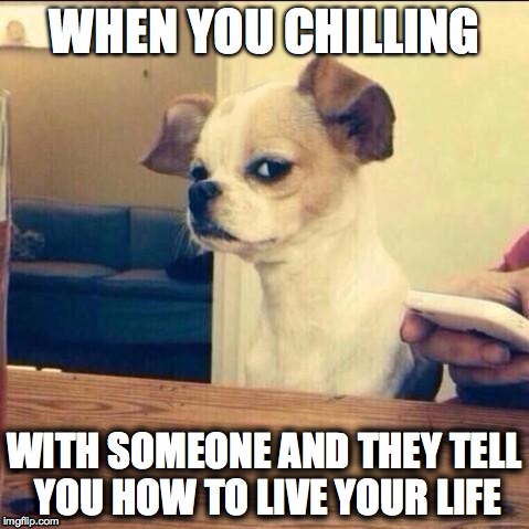 Skeptical Chihuahua | WHEN YOU CHILLING WITH SOMEONE AND THEY TELL YOU HOW TO LIVE YOUR LIFE | image tagged in skeptical chihuahua | made w/ Imgflip meme maker