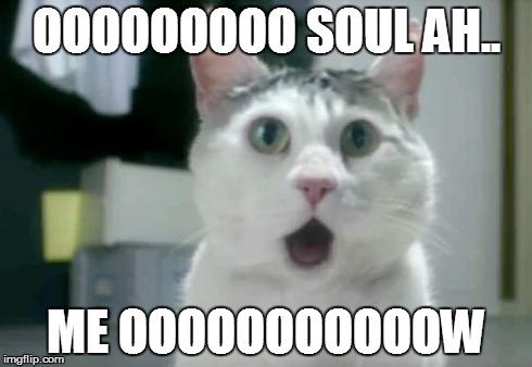 OMG Cat Meme | OOOOOOOOO SOUL AH.. ME OOOOOOOOOOOW | image tagged in memes,omg cat | made w/ Imgflip meme maker