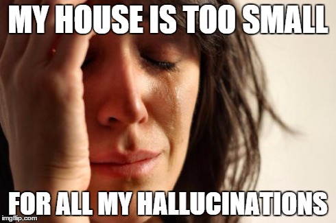 First World Problems Meme | MY HOUSE IS TOO SMALL FOR ALL MY HALLUCINATIONS | image tagged in memes,first world problems | made w/ Imgflip meme maker