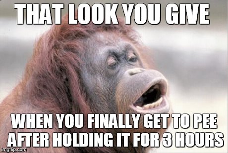 Monkey OOH | THAT LOOK YOU GIVE WHEN YOU FINALLY GET TO PEE AFTER HOLDING IT FOR 3 HOURS | image tagged in memes,monkey ooh | made w/ Imgflip meme maker