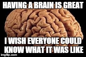 HAVING A BRAIN IS GREAT I WISH EVERYONE COULD KNOW WHAT IT WAS LIKE | image tagged in brain | made w/ Imgflip meme maker