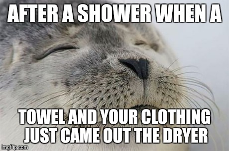 Satisfied Seal Meme | AFTER A SHOWER WHEN A TOWEL AND YOUR CLOTHING JUST CAME OUT THE DRYER | image tagged in memes,satisfied seal | made w/ Imgflip meme maker