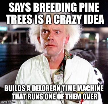 Doc Brown | SAYS BREEDING PINE TREES IS A CRAZY IDEA BUILDS A DELOREAN TIME MACHINE THAT RUNS ONE OF THEM OVER | image tagged in doc brown | made w/ Imgflip meme maker