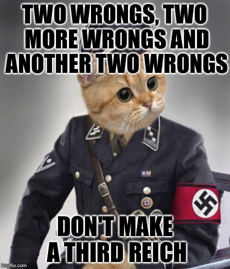 Nazi cat in uniform | TWO WRONGS, TWO MORE WRONGS AND ANOTHER TWO WRONGS DON'T MAKE A THIRD REICH | image tagged in nazi cat in uniform | made w/ Imgflip meme maker
