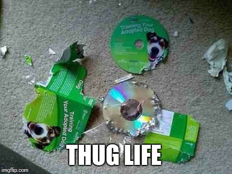 THUG LIFE | image tagged in thug life,memes | made w/ Imgflip meme maker