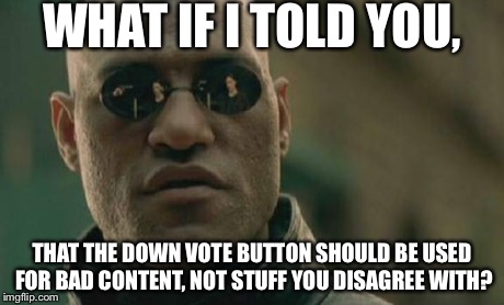 It should | WHAT IF I TOLD YOU, THAT THE DOWN VOTE BUTTON SHOULD BE USED FOR BAD CONTENT, NOT STUFF YOU DISAGREE WITH? | image tagged in memes,matrix morpheus,down vote,upvotes,funny,lol | made w/ Imgflip meme maker