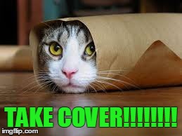 TAKE COVER!!!!!!!! | made w/ Imgflip meme maker