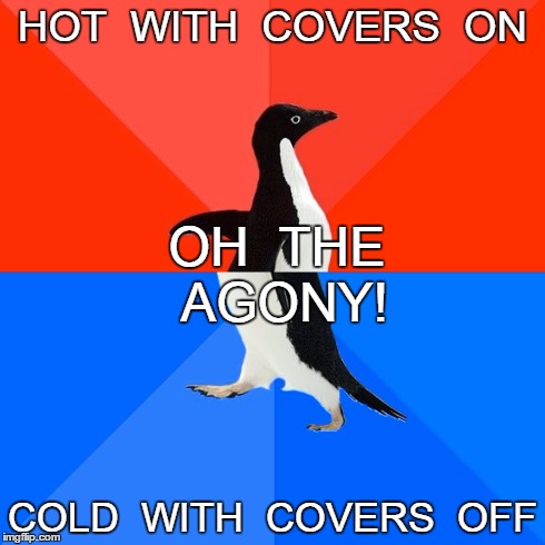 This is so annoying when trying to go to sleep. | HOT  WITH  COVERS  ON COLD  WITH  COVERS  OFF OH  THE  AGONY! | image tagged in memes,socially awesome awkward penguin,imgflip | made w/ Imgflip meme maker