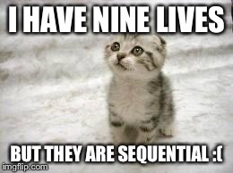 sad cat | I HAVE NINE LIVES BUT THEY ARE SEQUENTIAL :( | image tagged in sad cat | made w/ Imgflip meme maker