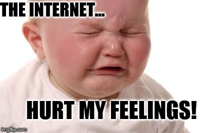 THE INTERNET... HURT MY FEELINGS! | image tagged in baby | made w/ Imgflip meme maker