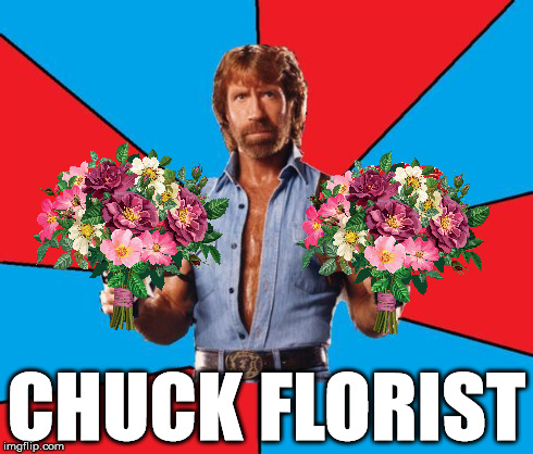 his roses smell manly | CHUCK FLORIST | image tagged in chuck norris,florist | made w/ Imgflip meme maker