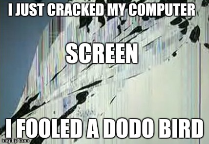 Crack Prank | I JUST CRACKED MY COMPUTER I FOOLED A DODO BIRD SCREEN | image tagged in screen | made w/ Imgflip meme maker