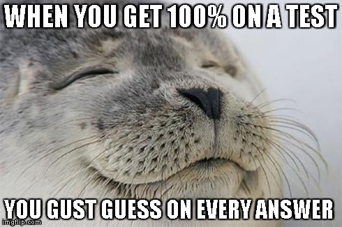 Satisfied Seal | WHEN YOU GET 100% ON A TEST YOU GUST GUESS ON EVERY ANSWER | image tagged in memes,satisfied seal | made w/ Imgflip meme maker