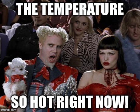 Mugatu So Hot Right Now Meme | THE TEMPERATURE SO HOT RIGHT NOW! | image tagged in memes,mugatu so hot right now | made w/ Imgflip meme maker