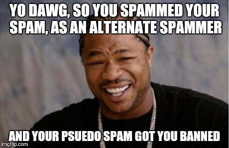 Makes perfect sense to me | YO DAWG, SO YOU SPAMMED YOUR SPAM, AS AN ALTERNATE SPAMMER AND YOUR PSUEDO SPAM GOT YOU BANNED | image tagged in memes,yo dawg heard you | made w/ Imgflip meme maker