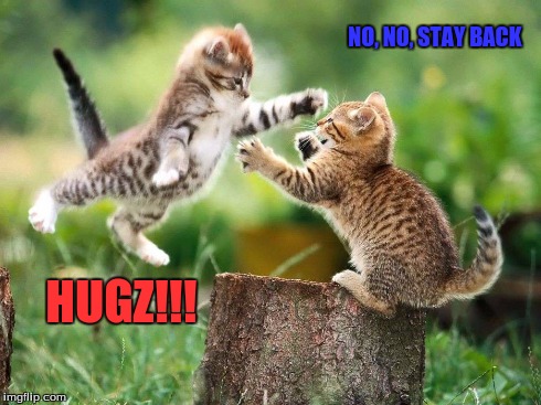 Cat Attack | NO, NO, STAY BACK HUGZ!!! | image tagged in memes | made w/ Imgflip meme maker