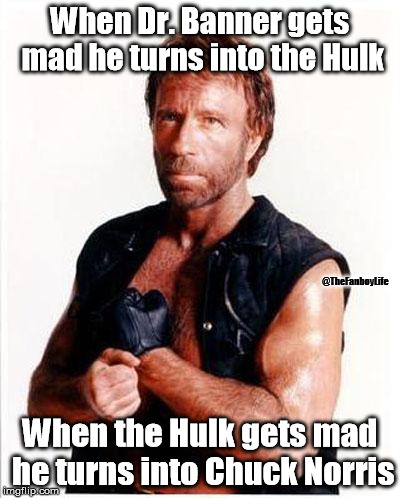 chuck norris 2 | When Dr. Banner gets mad he turns into the Hulk When the Hulk gets mad he turns into Chuck Norris @TheFanboyLife | image tagged in chuck norris 2 | made w/ Imgflip meme maker