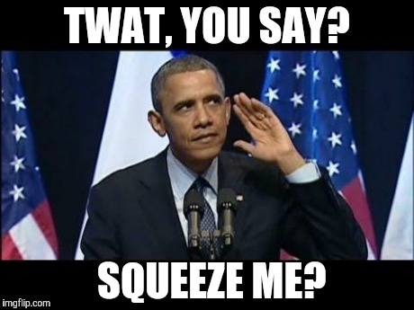 Obama No Listen | TWAT, YOU SAY? SQUEEZE ME? | image tagged in memes,obama no listen | made w/ Imgflip meme maker