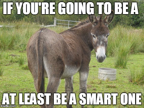 Everyone knows one,,or two | IF YOU'RE GOING TO BE A AT LEAST BE A SMART ONE | image tagged in memes,imgflip,animals,funny | made w/ Imgflip meme maker