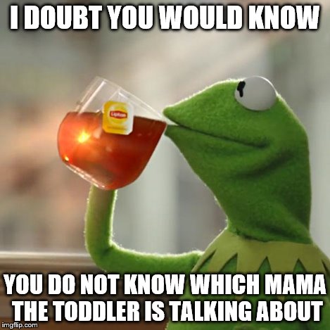 But That's None Of My Business Meme | I DOUBT YOU WOULD KNOW YOU DO NOT KNOW WHICH MAMA THE TODDLER IS TALKING ABOUT | image tagged in memes,but thats none of my business,kermit the frog | made w/ Imgflip meme maker