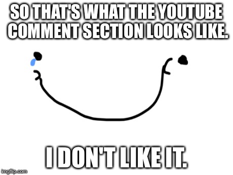 youtube comments | SO THAT'S WHAT THE YOUTUBE COMMENT SECTION LOOKS LIKE. I DON'T LIKE IT. | image tagged in memes,youtube comment section | made w/ Imgflip meme maker