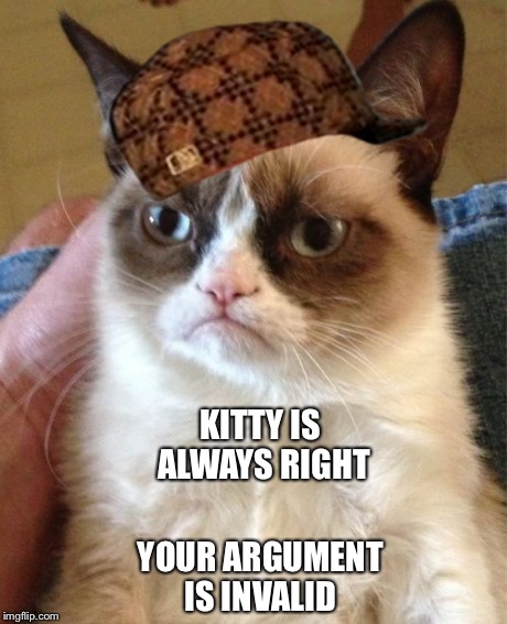 Kitty is always right  | KITTY IS ALWAYS RIGHT YOUR ARGUMENT IS INVALID | image tagged in memes,grumpy cat,scumbag | made w/ Imgflip meme maker