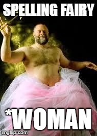 Spelling Fairy | *WOMAN | image tagged in spelling fairy | made w/ Imgflip meme maker
