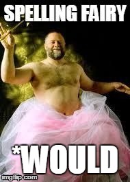 Spelling Fairy | *WOULD | image tagged in spelling fairy | made w/ Imgflip meme maker