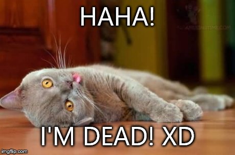 Dead cat | HAHA! I'M DEAD! XD | image tagged in dead cat | made w/ Imgflip meme maker