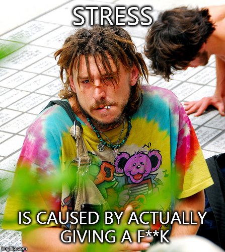 Stoner PhD | STRESS IS CAUSED BY ACTUALLY GIVING A F**K | image tagged in memes,stoner phd | made w/ Imgflip meme maker
