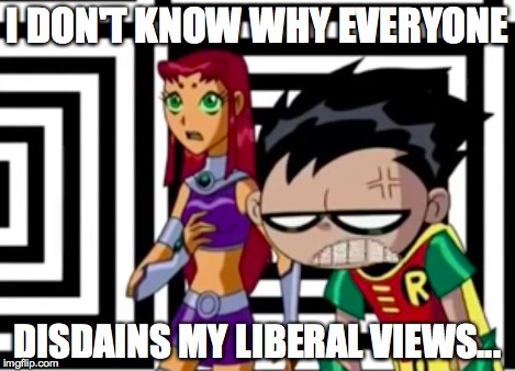 Disappointed Robin | I DON'T KNOW WHY EVERYONE DISDAINS MY LIBERAL VIEWS... | image tagged in disappointed robin | made w/ Imgflip meme maker