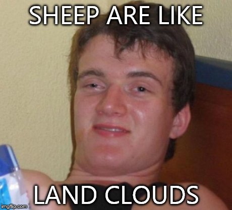 10 Guy | SHEEP ARE LIKE LAND CLOUDS | image tagged in memes,10 guy | made w/ Imgflip meme maker